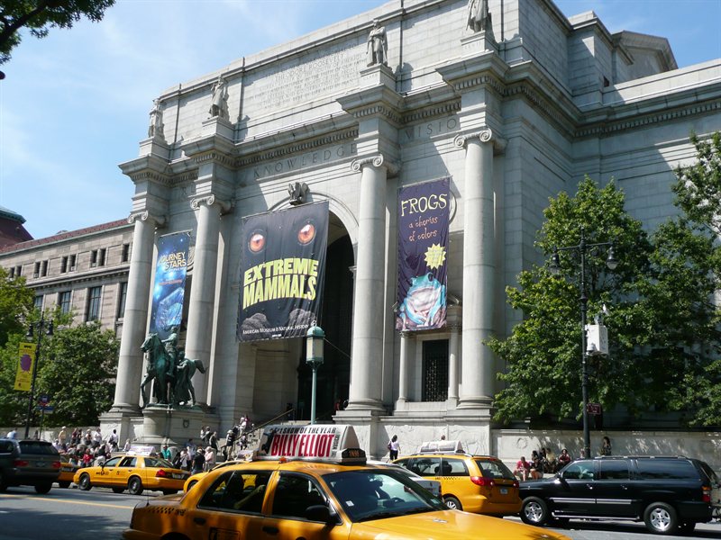 New York Natural History Museum