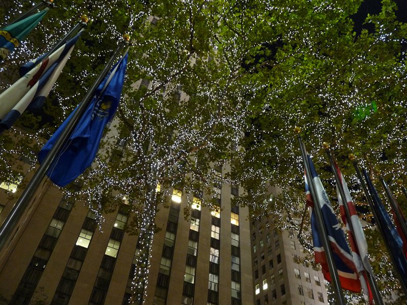 Trees in front of Rockafella Centre