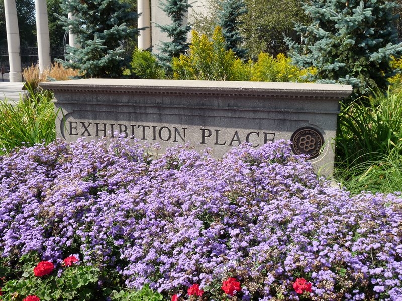 Flower bed outside Exibition Place