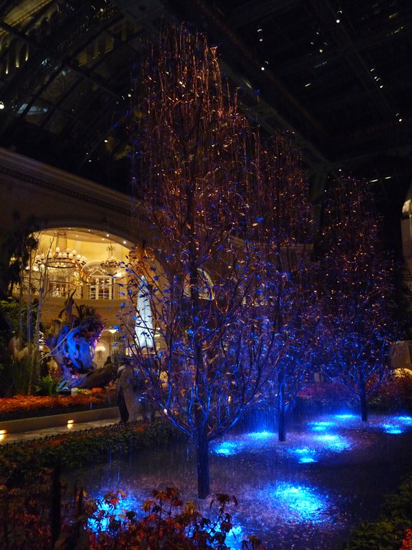 Tree fountains in the Bellagio conservatory