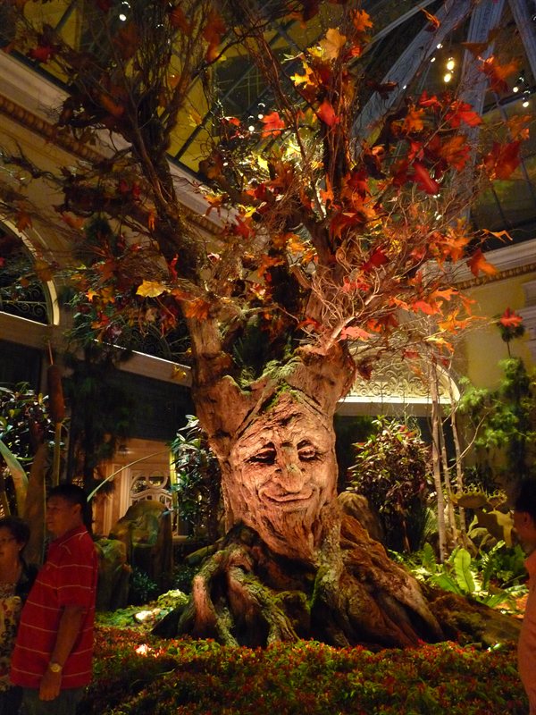 Animated tree in the Bellagio conservatory
