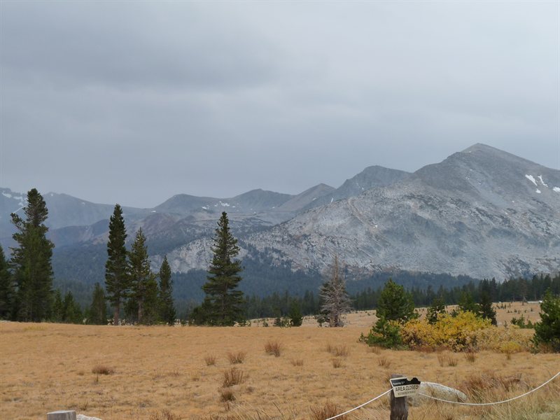 View over Yosemite from the Tioga Pass