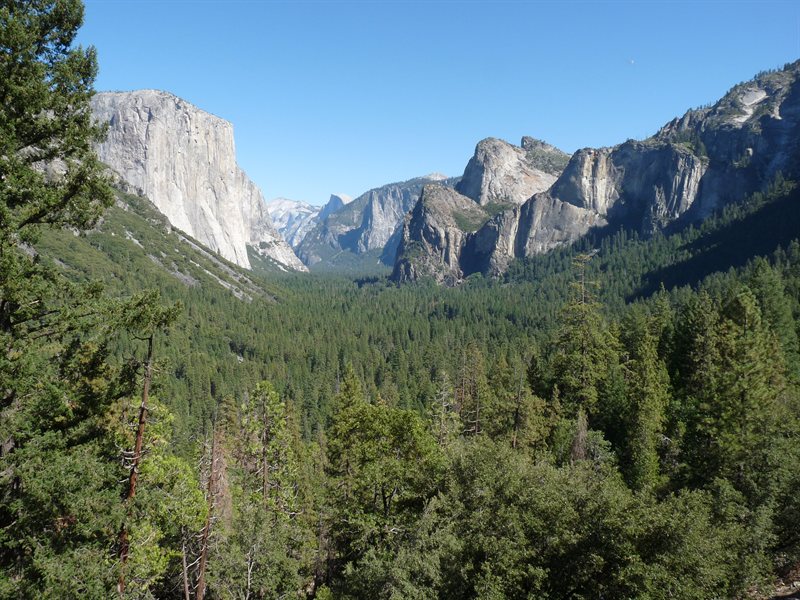View of Yosemite Valley from Tunnel View