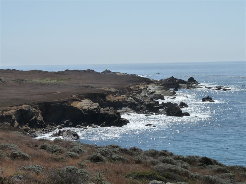 The Pacific Coast on Highway 1