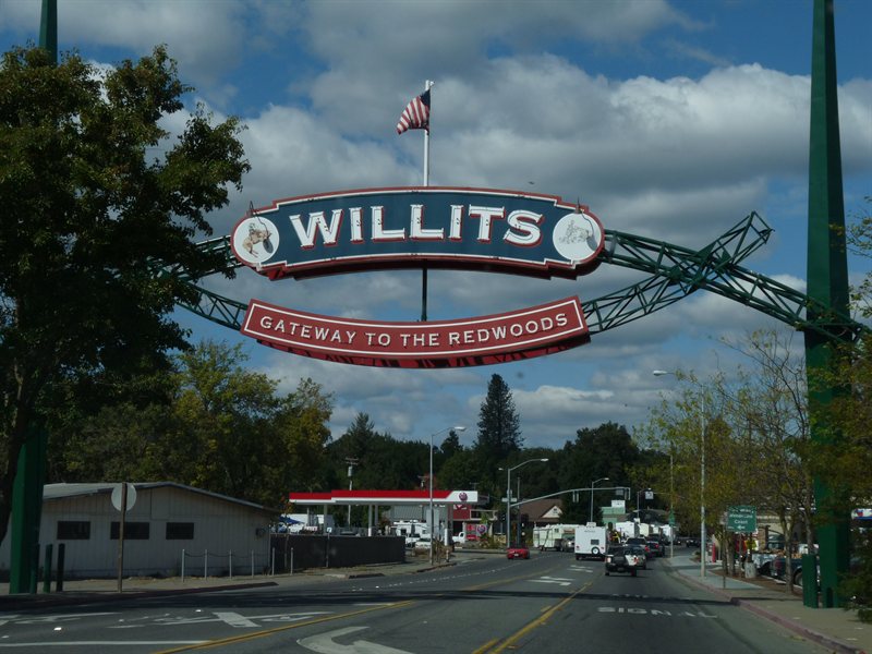 On the road to the Redwoods