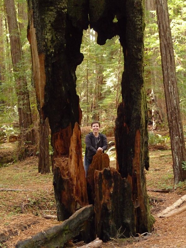 Claire with a holey tree