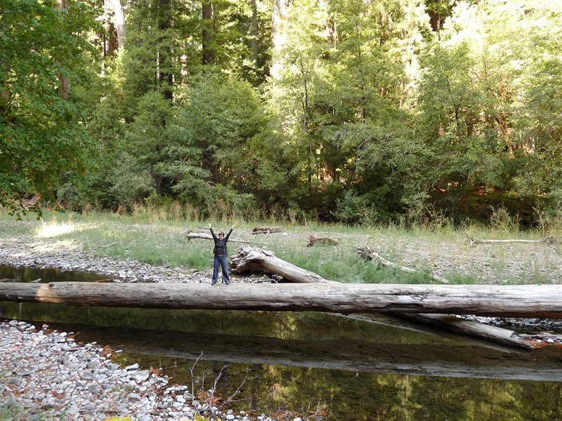 Claire on the "bridge" to the Big Tree