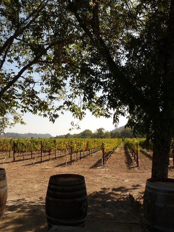 The Amista Winery and Vineyard