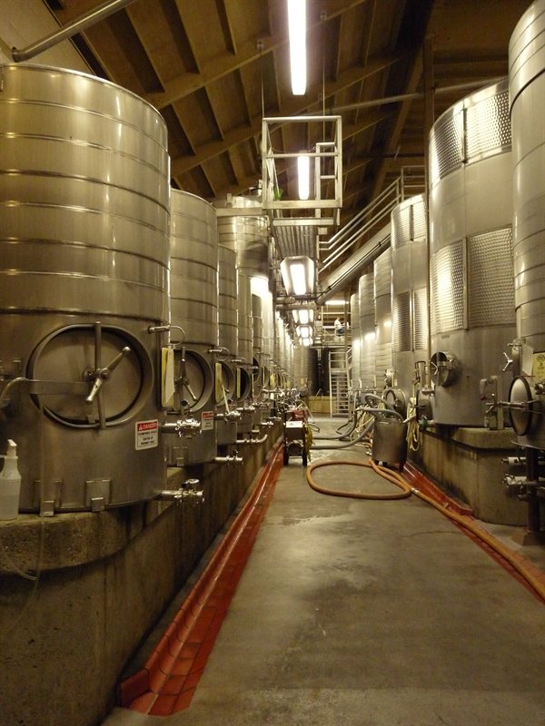 Wine production at Simi