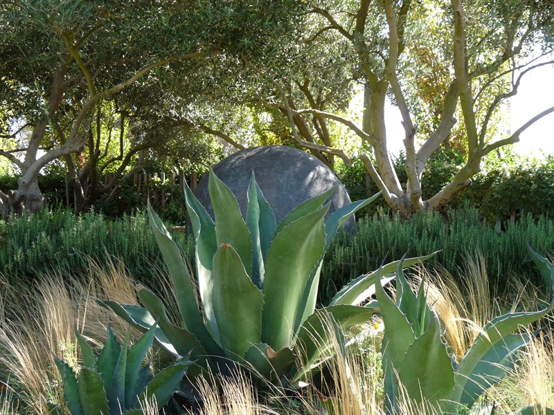 The Garden of Contrasts