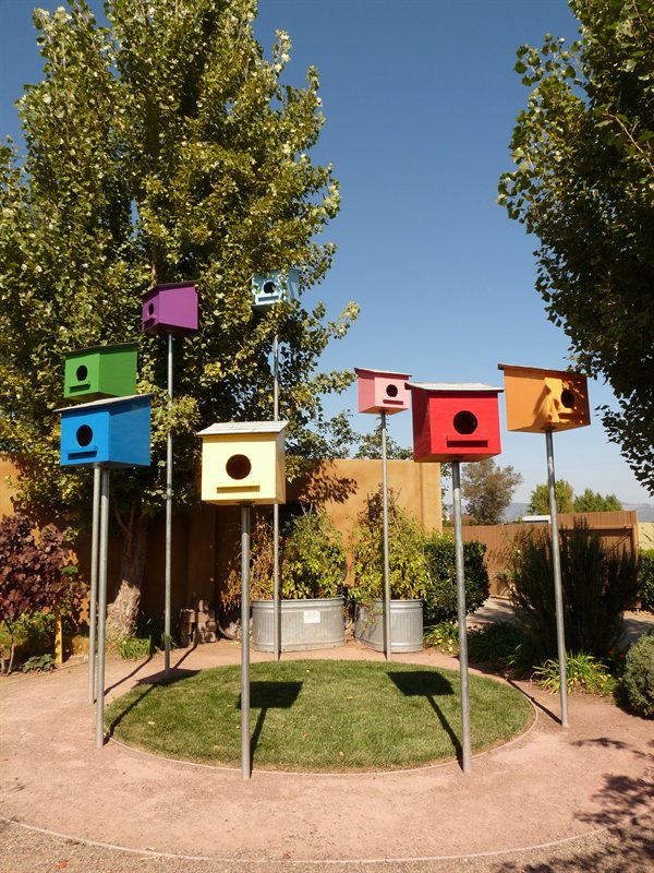 Bird Boxes in the Children's Garden