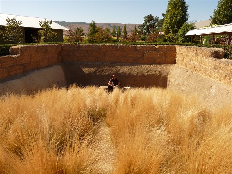 Ed in the Earth Garden