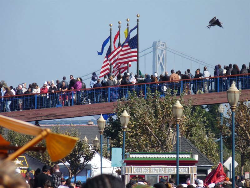People watching the air display