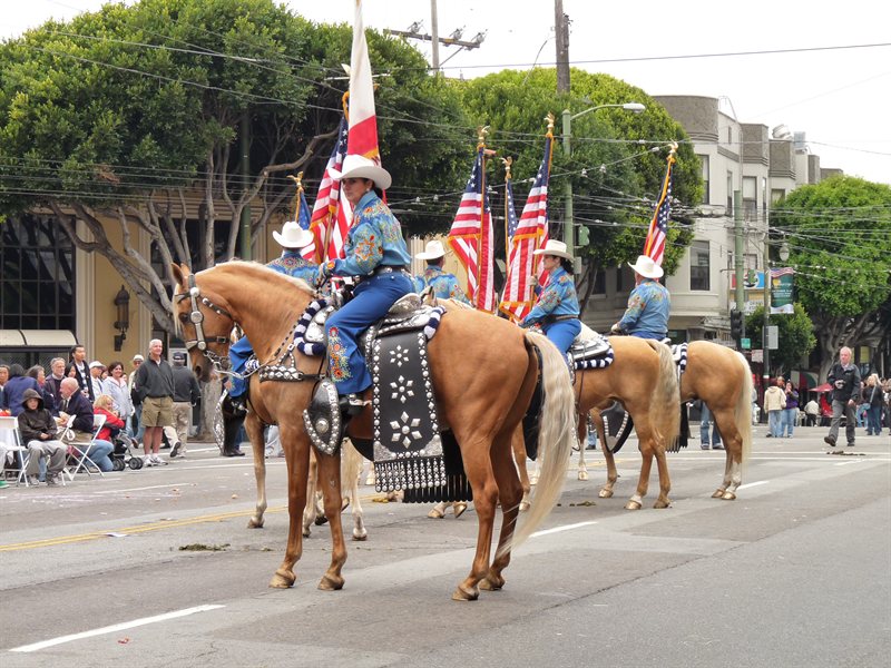 Horses on display at the Italian Heritage Day Parade