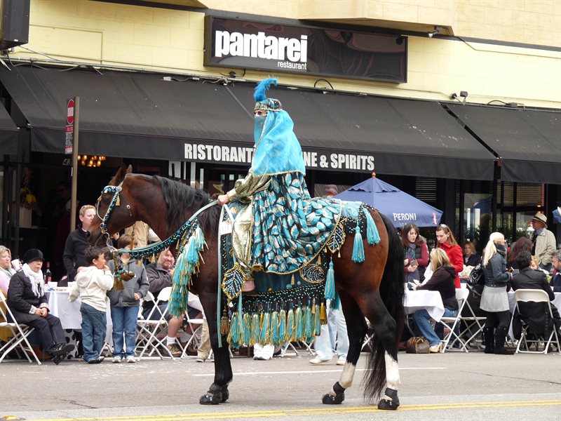 Horses on display at the Italian Heritage Day Parade