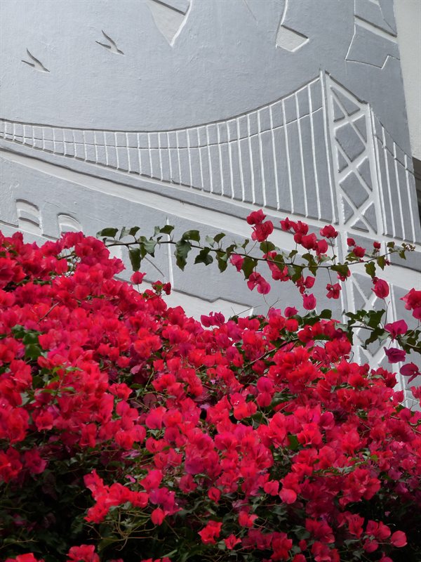 Golden Gate Mural with Bourgeonvillea