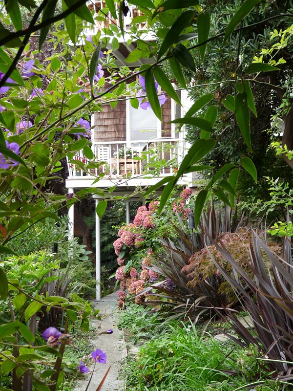 The Gardens around Filbert Street Steps