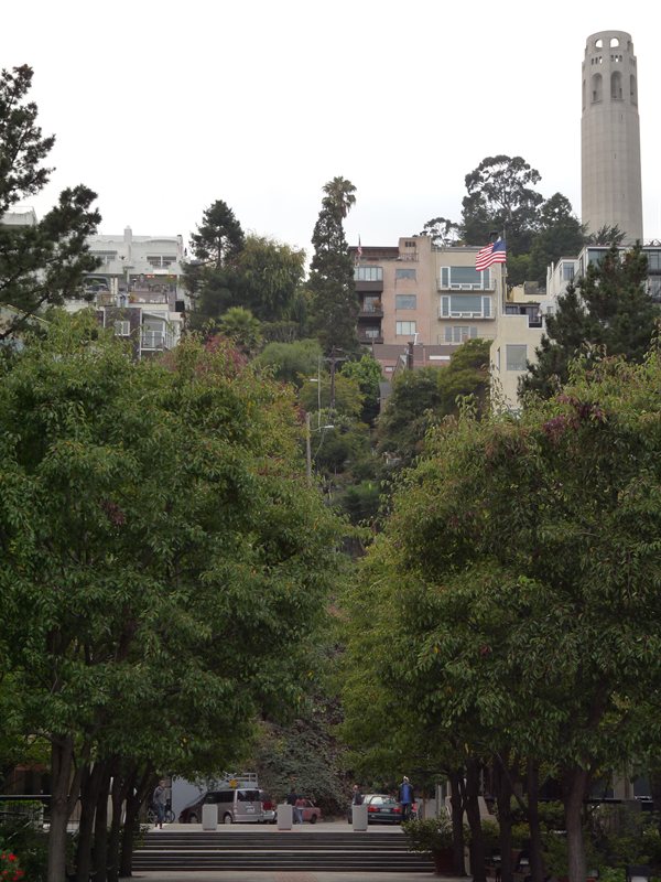 Coit Tower from the bottom of Filbert Street Steps