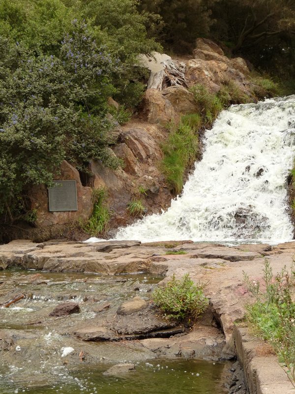 Lake in Golden Gate Park