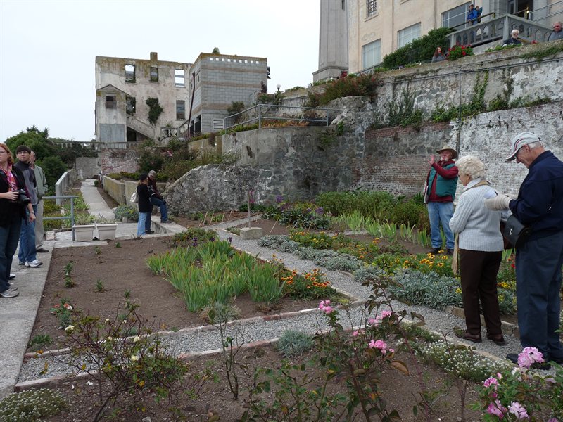 Gardens on Alcatraz