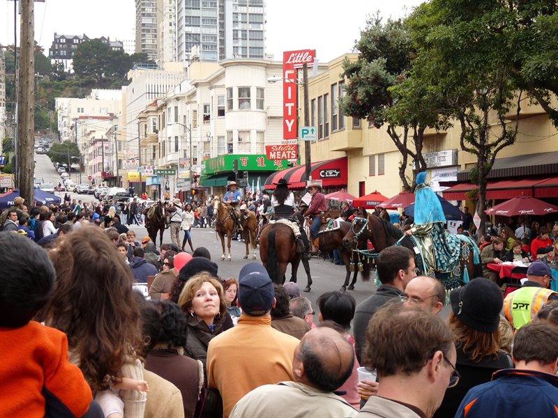 Horses on display at the Italian Heritage Day Parade