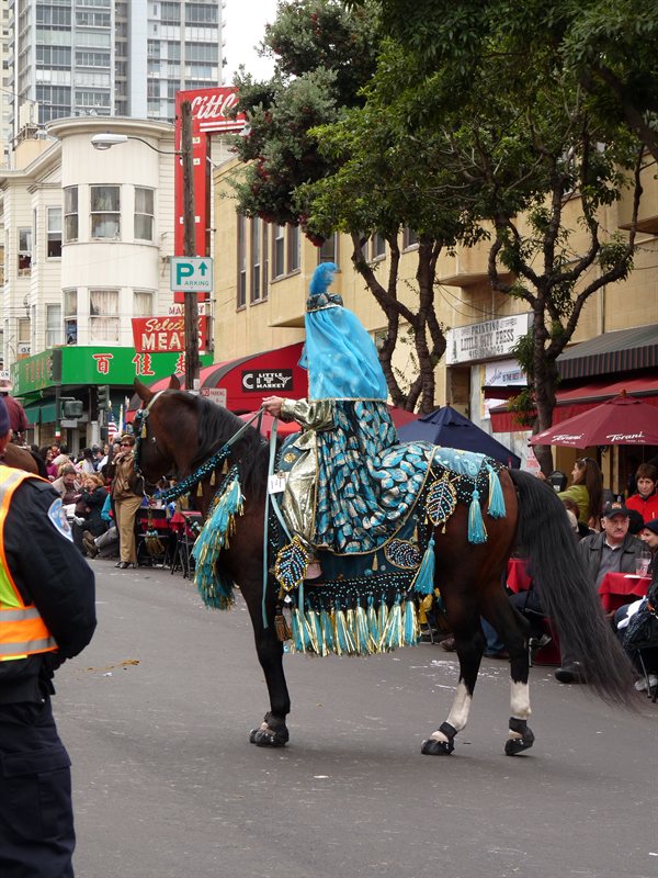 Horses on display at the Italian Heritage Day Parade
