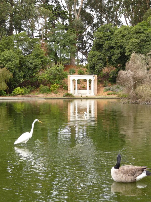 Lake in Golden Gate Park
