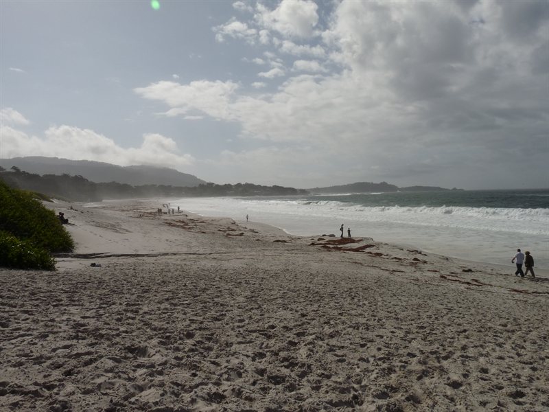 Coastal views from highway 1