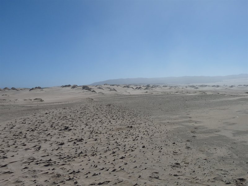 The Guadalupe Nipomo Dunes