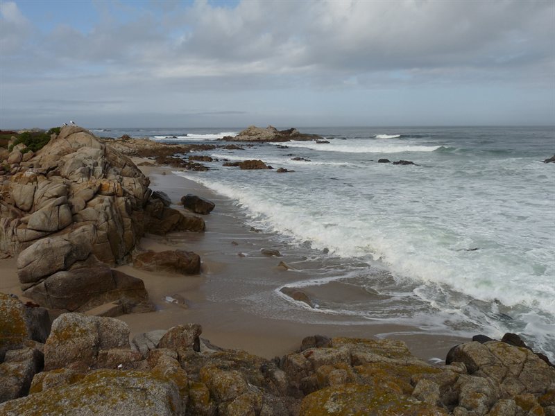 Coastal views from highway 1