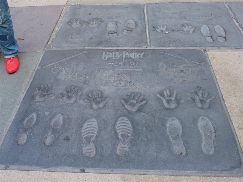 Harry Potter at Mr Mann's