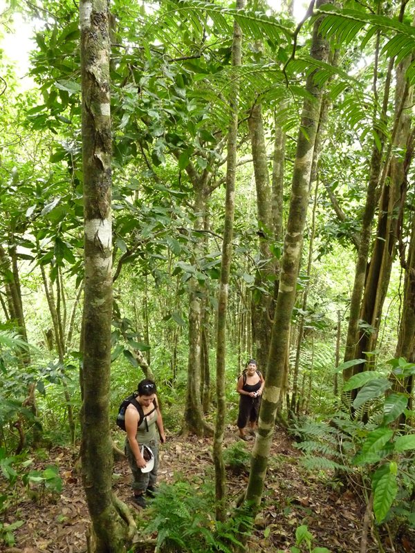 And more climbing....