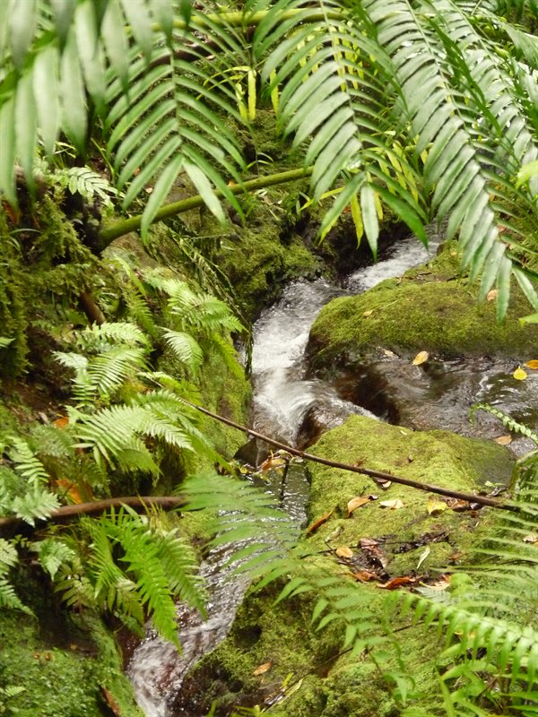 Waterfall during the descent