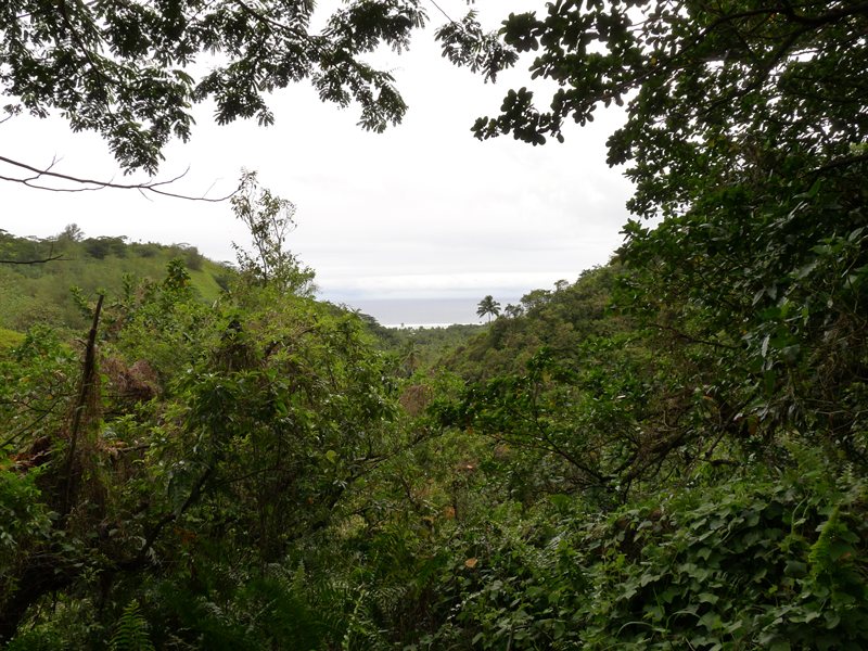 View as we descended from the Needle