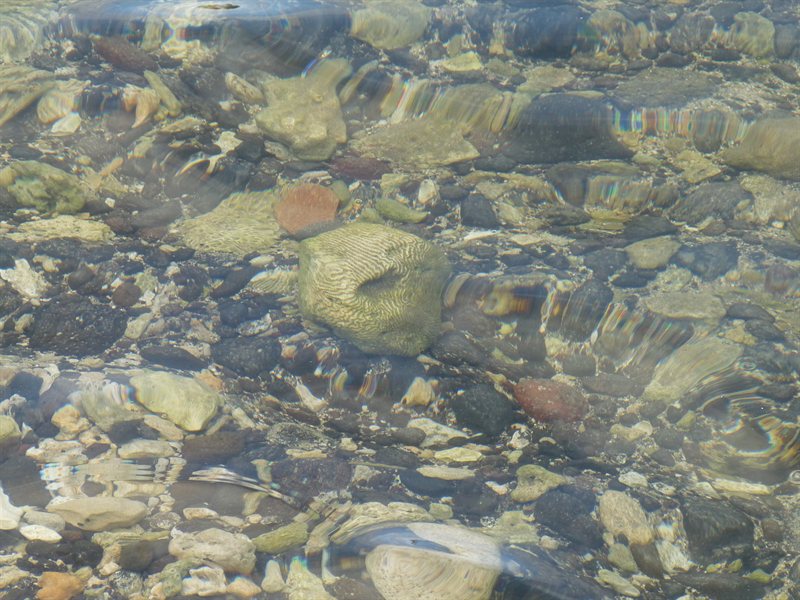 The clear waters of the Pacific