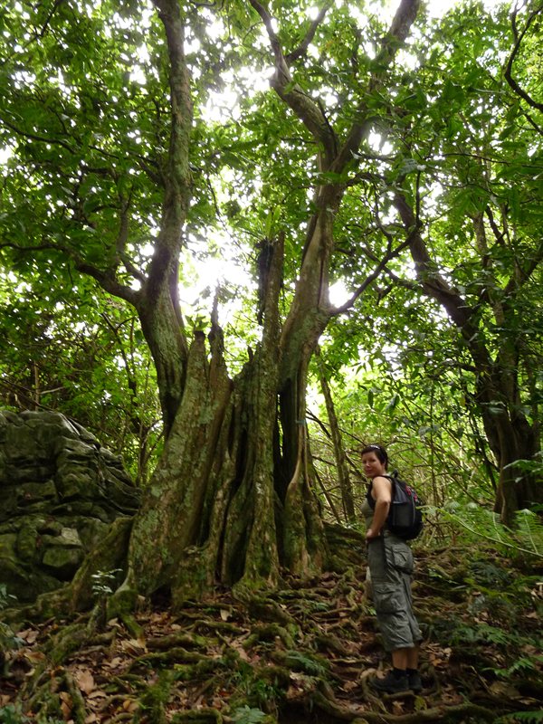 It's all up from here