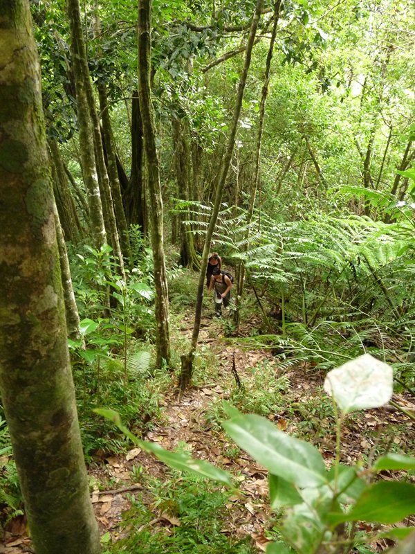 Climbing up to the Needle
