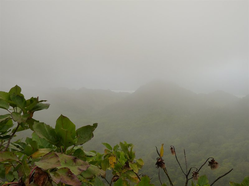 Too cloudy too see much at the top :(