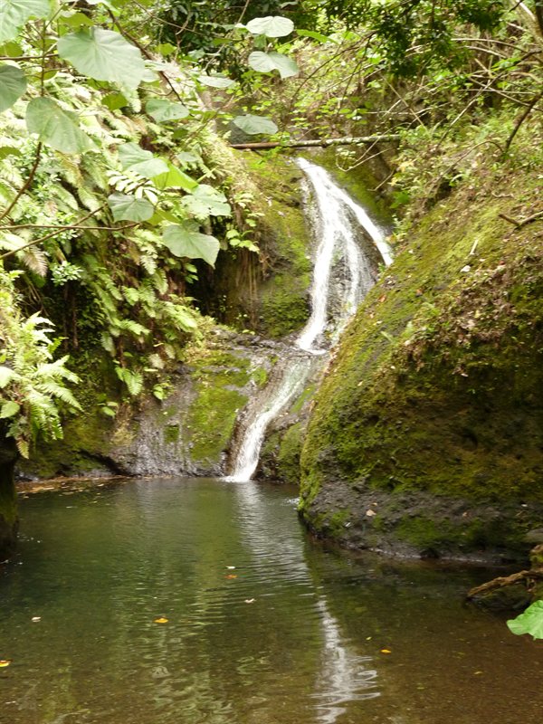 Wigmore's Waterfall