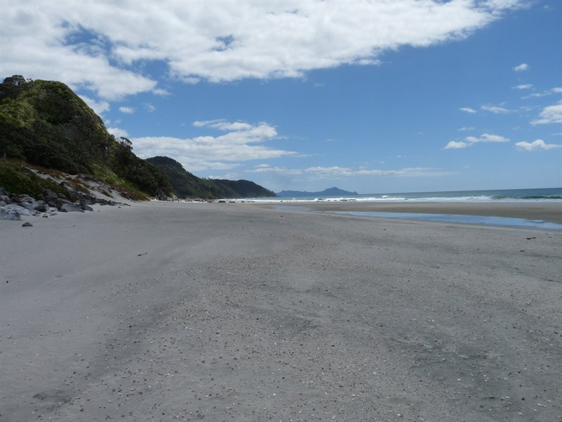 Mangawhai Heads
