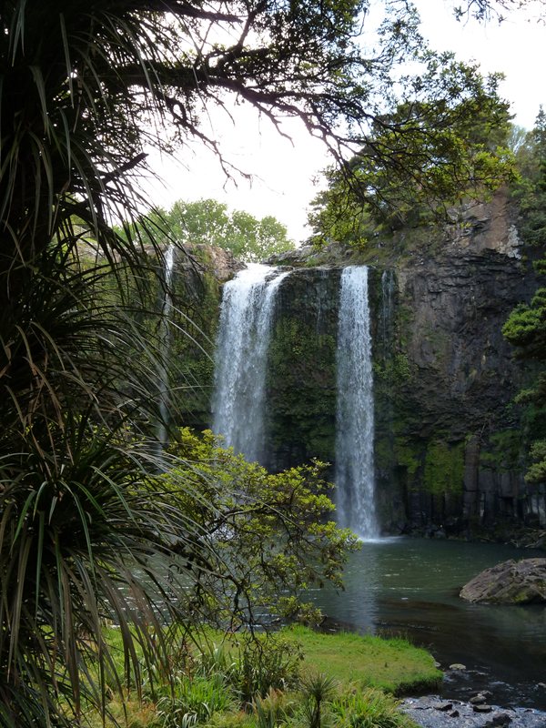Whangarei Falls