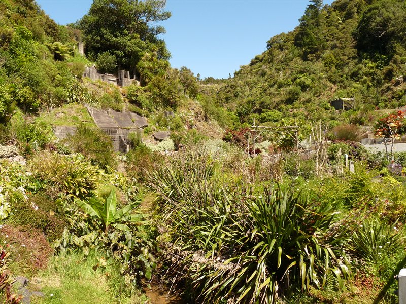 Whangarei Quarry Gardens