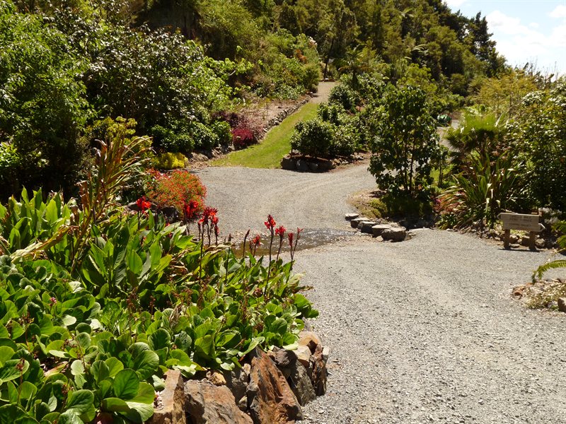 Whangarei Quarry Gardens