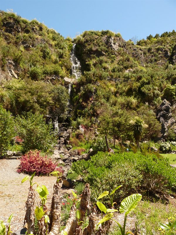 Whangarei Quarry Gardens