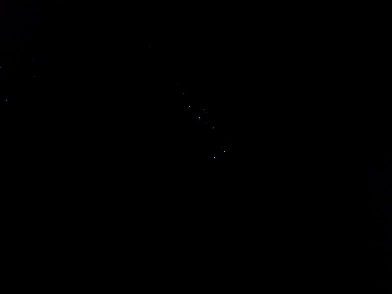 Glow worms in Ivy Cave