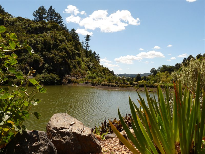 Whangarei Quarry Gardens
