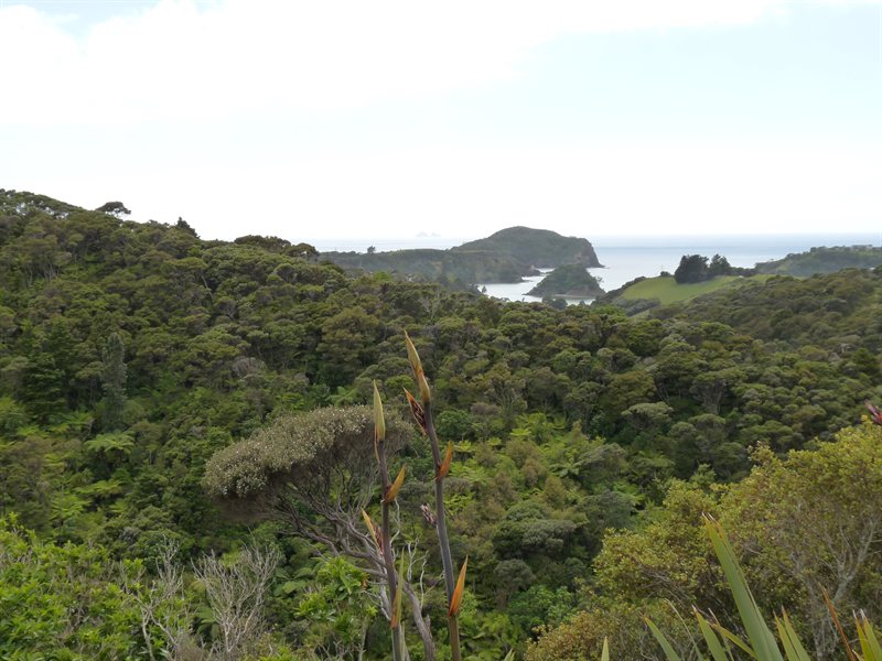 Views over the Tutukaka Coast