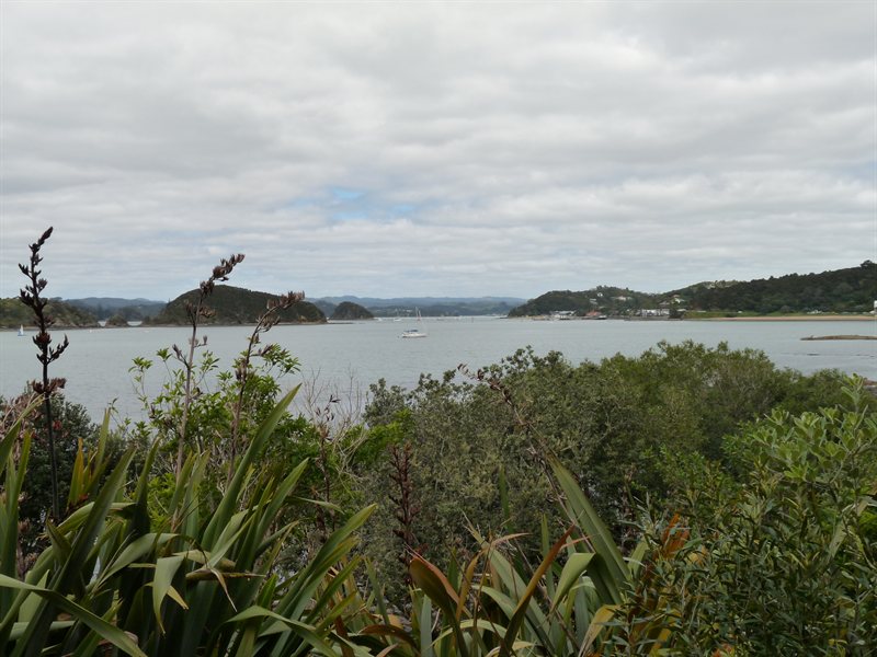 View over the Bay of Islands