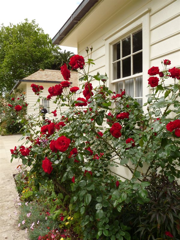 The Treaty House at Waitangi