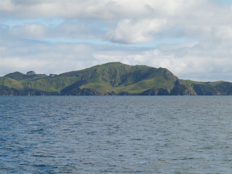 Sailing through the Bay of Islands